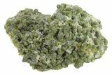 Lustrous Epidote Crystal Cluster - Morocco #224818-1